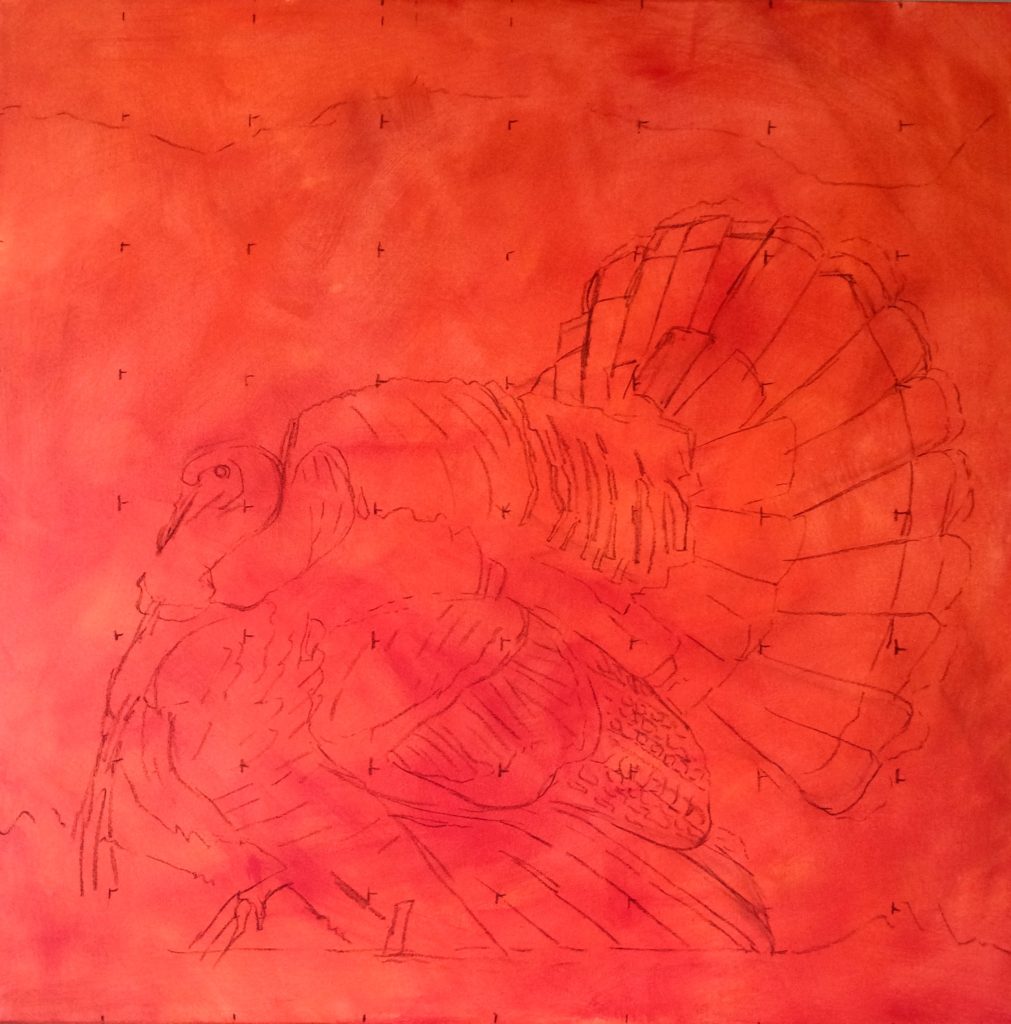 40x40 cadmium red toned canvas POPS. The color will peak through the whole painting, kind of like a glowing backlight. Charcoal sketch, accurate but not precise, sorts the main blocks of the turkey’s complex feather patterns.