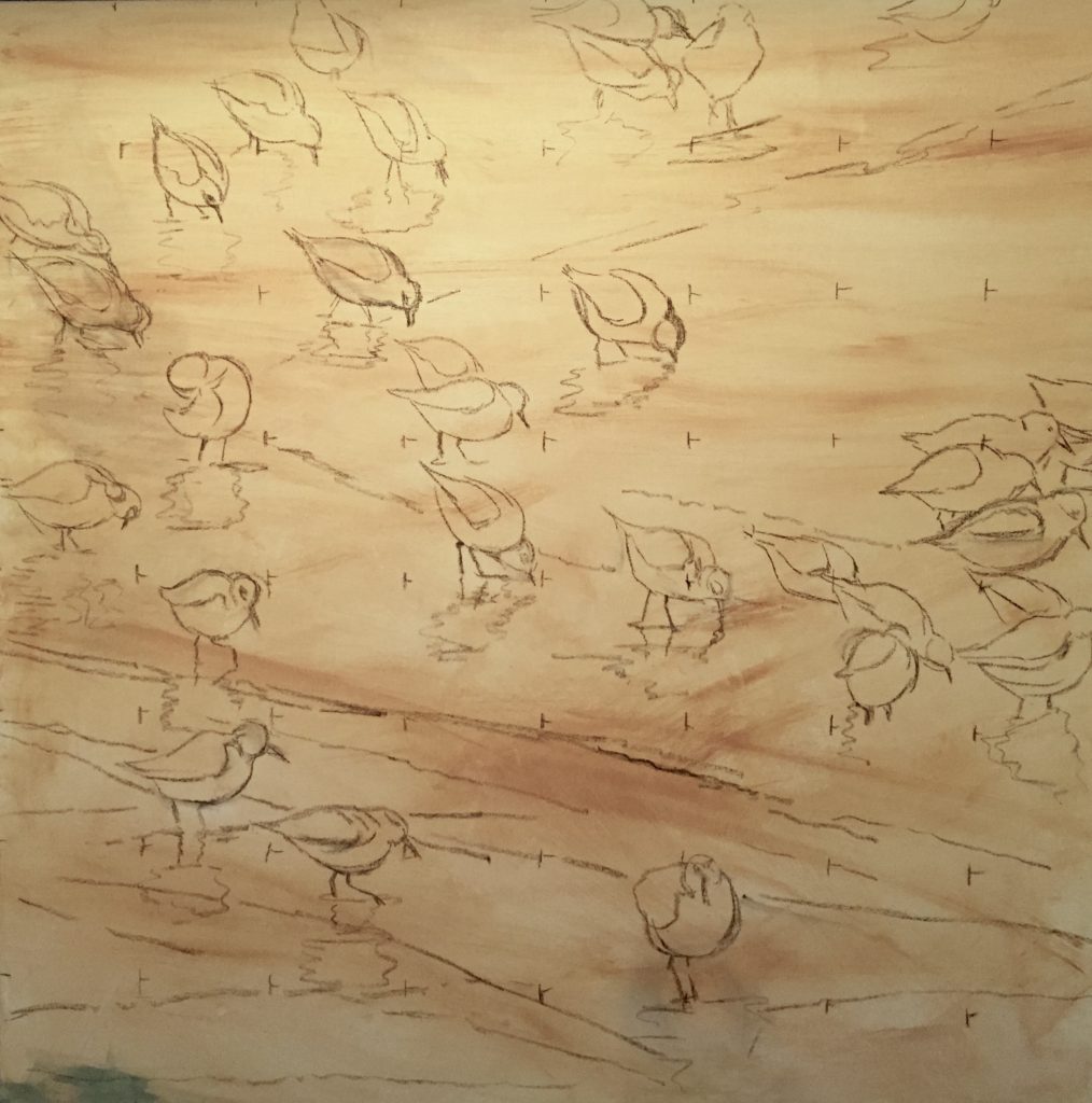 Wash of yellow ochre toned canvas, 48x48. Began this one knowing it would be a limited color palette, mostly gold and gray. Brought some order to charcoal sketches of birds with the shallow water ripples that form a triangle, moving the eye from upper right corner to left and back down to the only piper looking straight at you.