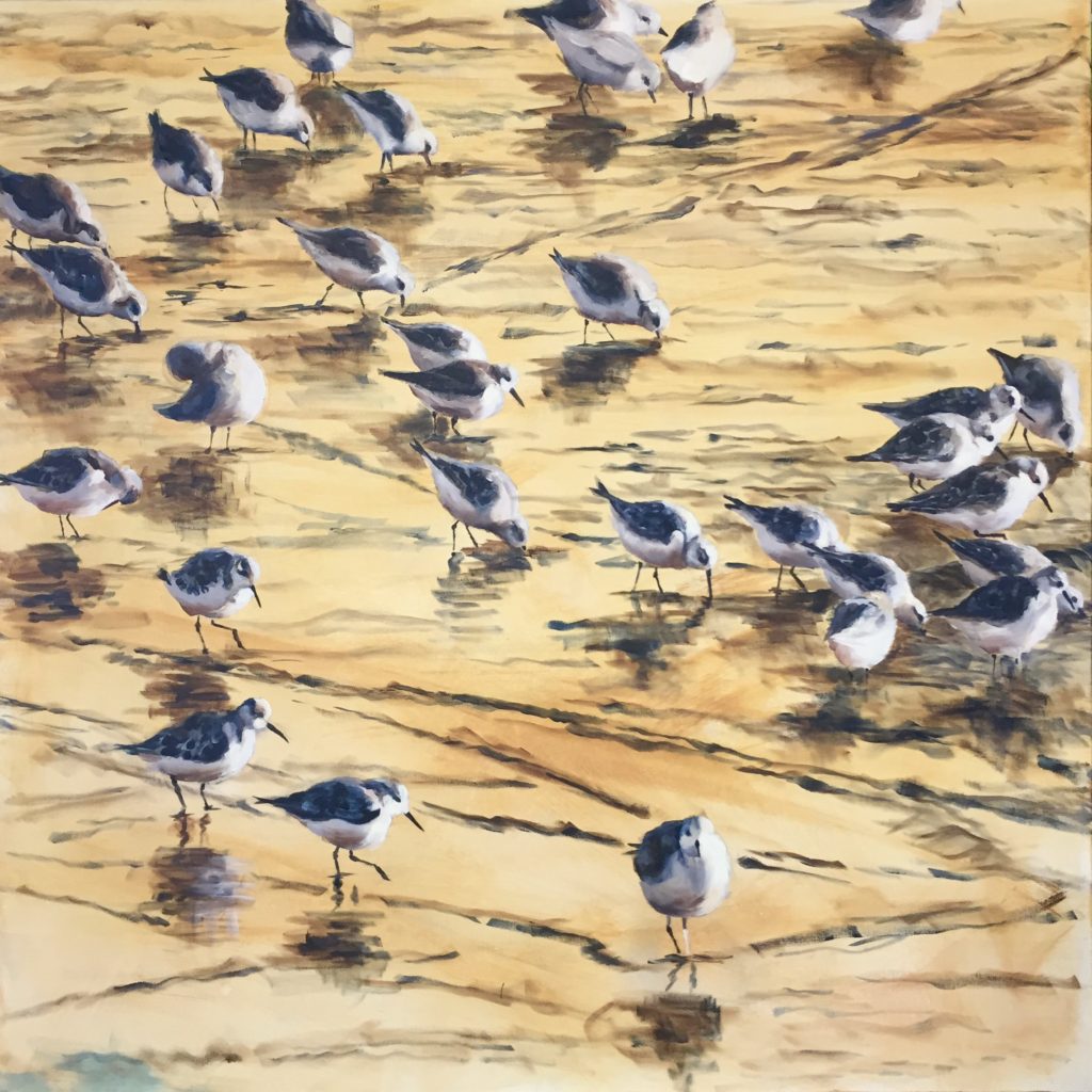 Adding the lights and then various medium values, always comparing them to the darkest dark and lightest light. Added more darks into the reflections of birds.
