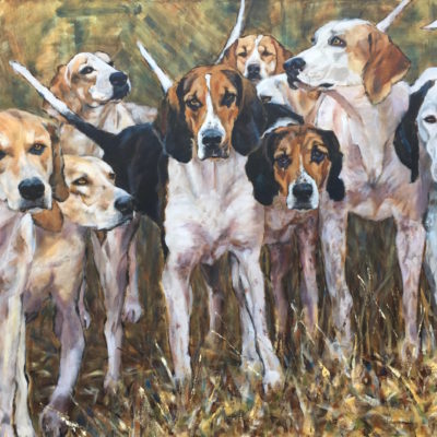 FAMILY HOUNDS