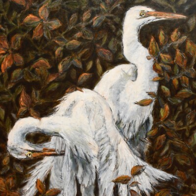 Egret’s Preen